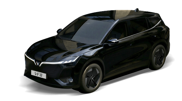 VF8PH-21.png